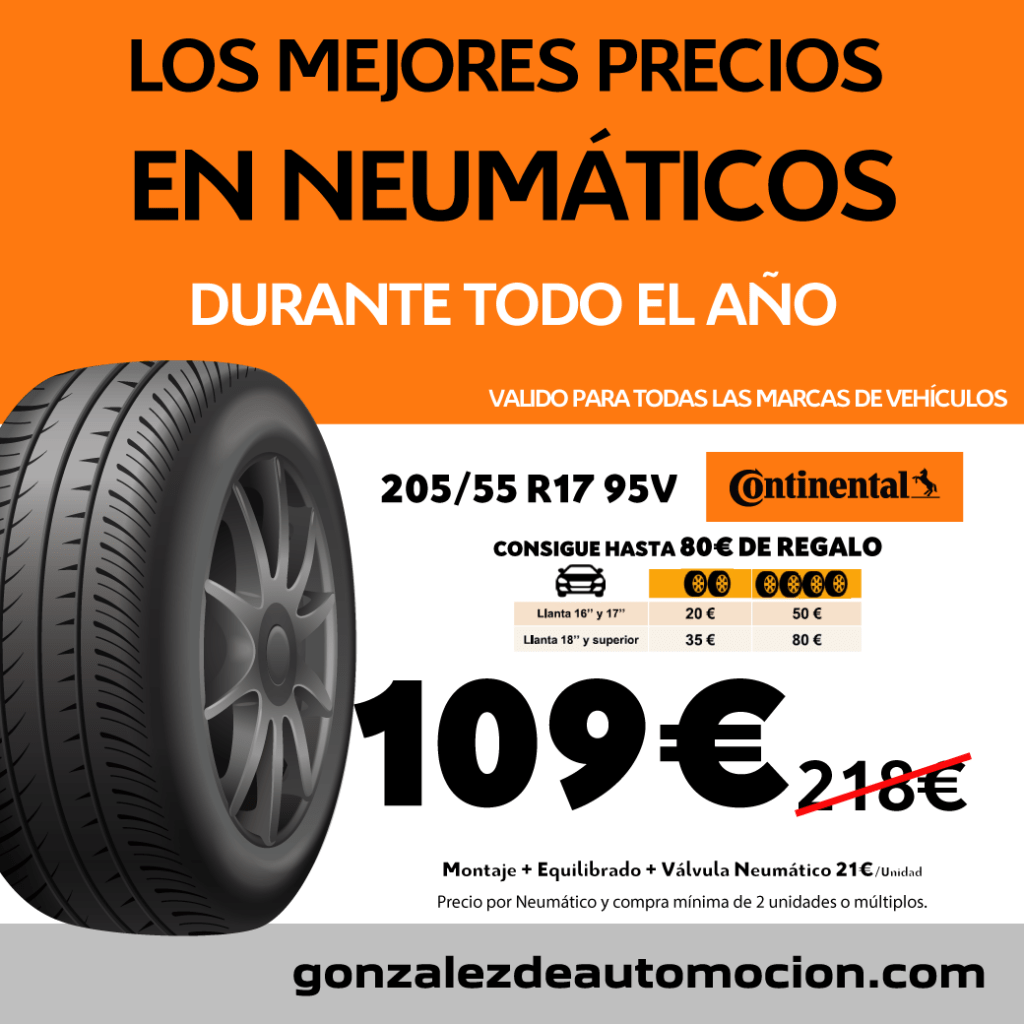 LOS MEJORES PRECIOS EN NEUMÁTICOS 4 2X1-Neumaticos-Marzo-2022-109