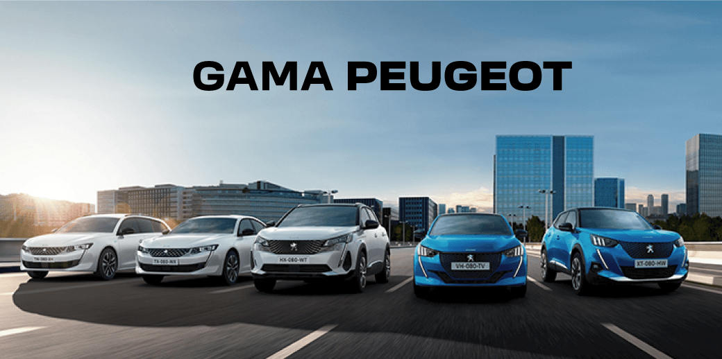 B2B-Gama-Peugeot-Turismos