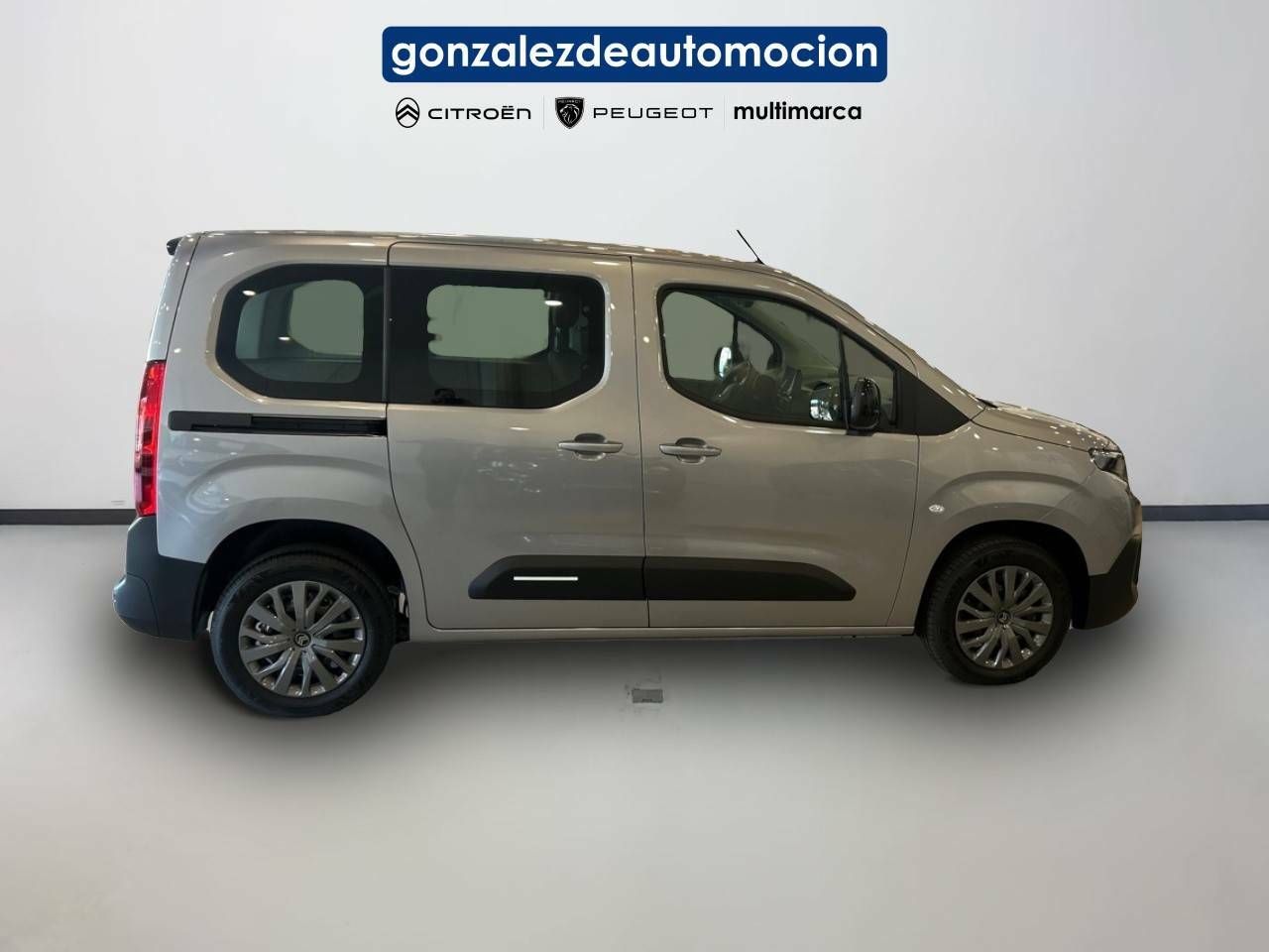 Citroën Berlingo  Talla M BlueHDi 100 S&S Plus 7