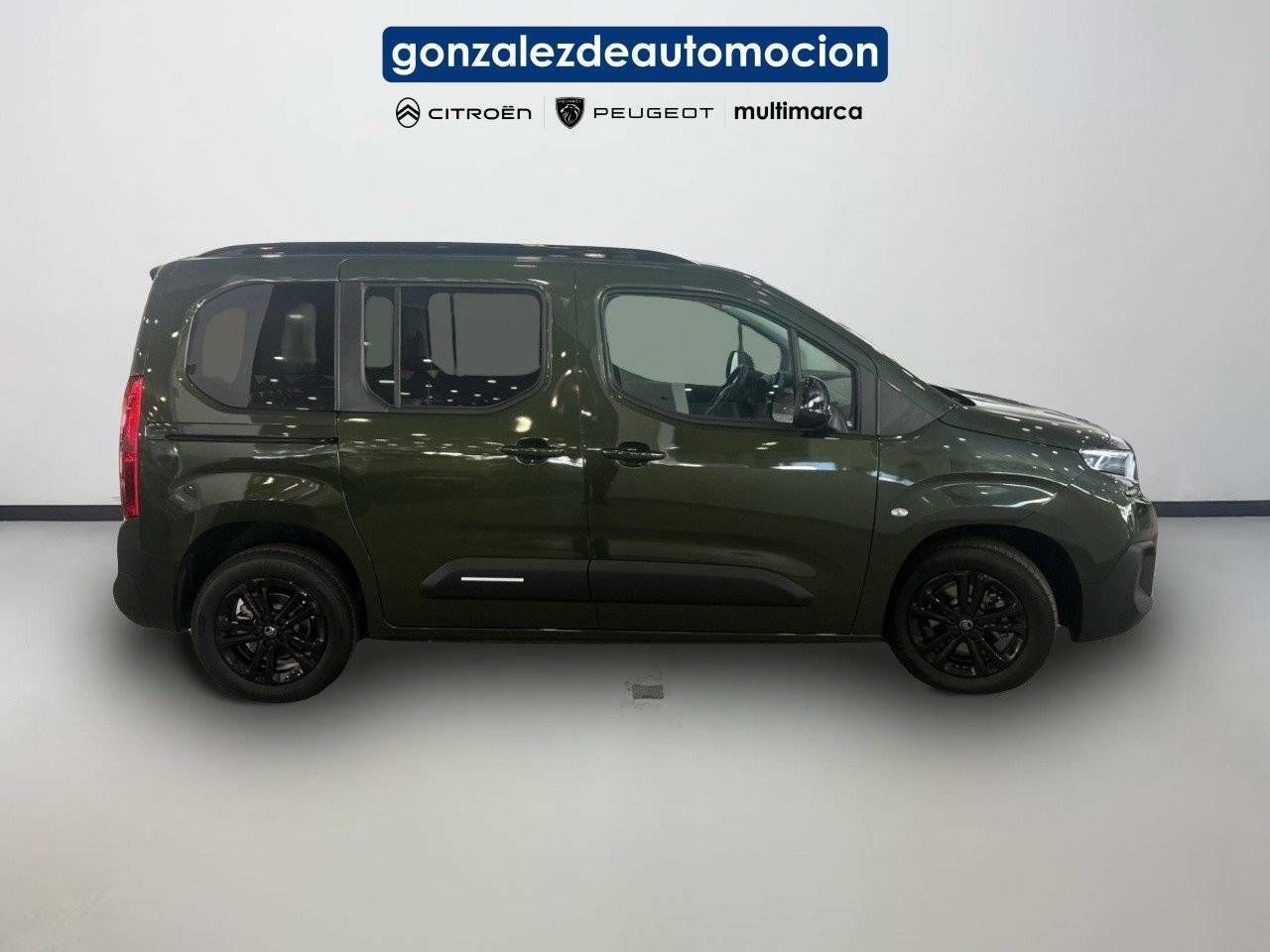 Citroën Berlingo  Talla M BlueHDi 100 S&S Plus 7