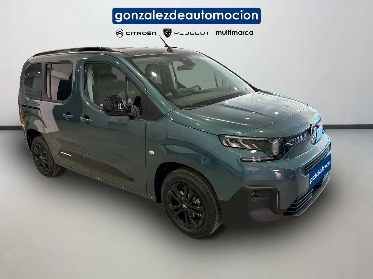 Citroën Berlingo  Talla M BlueHDi 100 S&S Plus 5