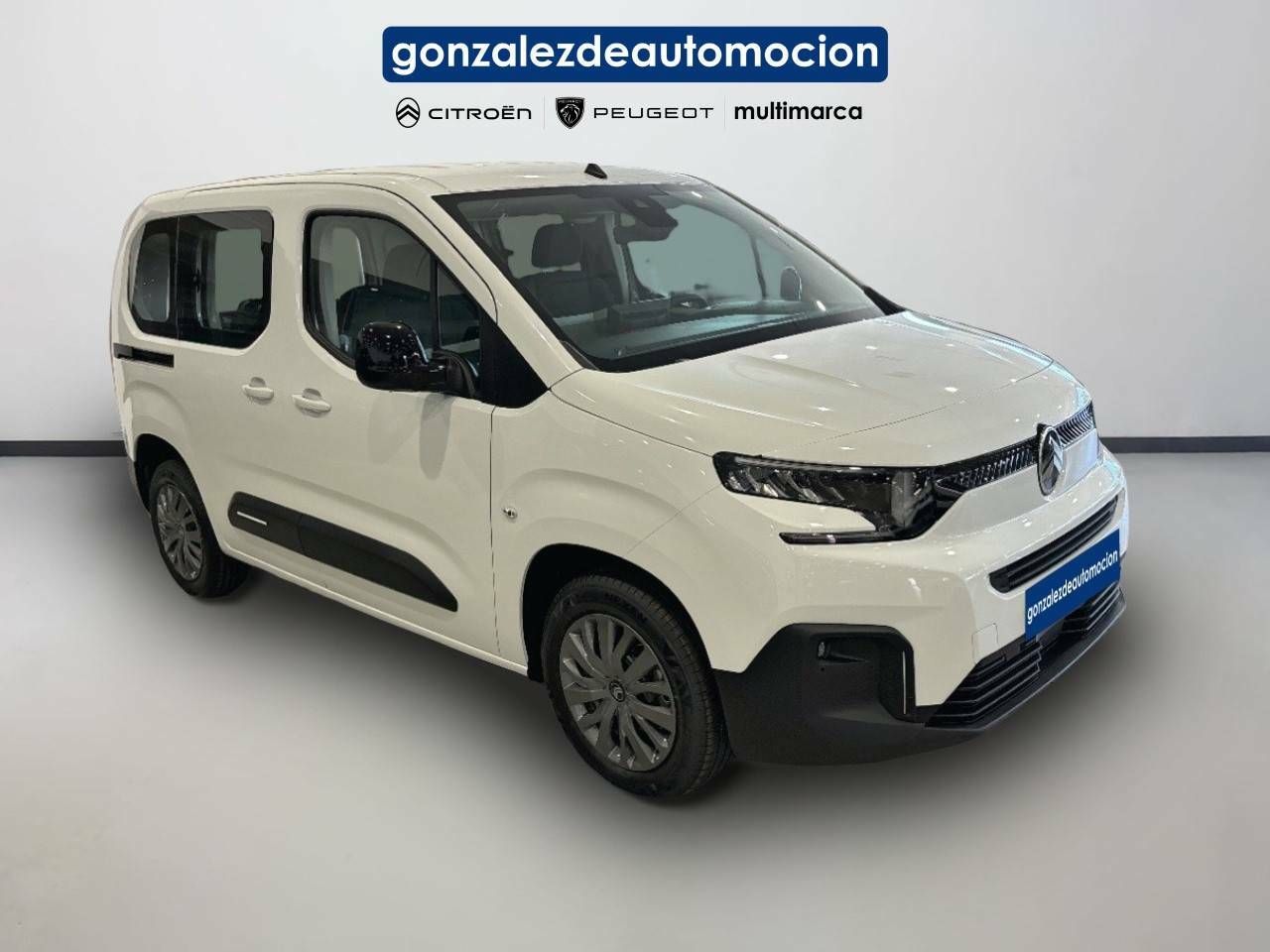 Citroën Berlingo  Talla M BlueHDi 100 S&S Plus 5