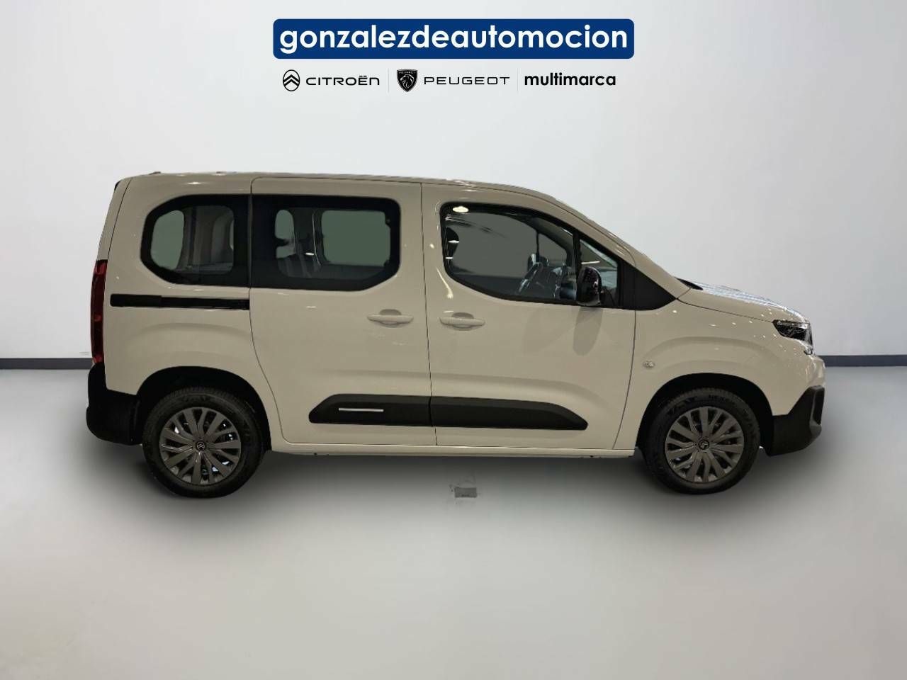 Citroën Berlingo  Talla M BlueHDi 100 S&S Plus 7