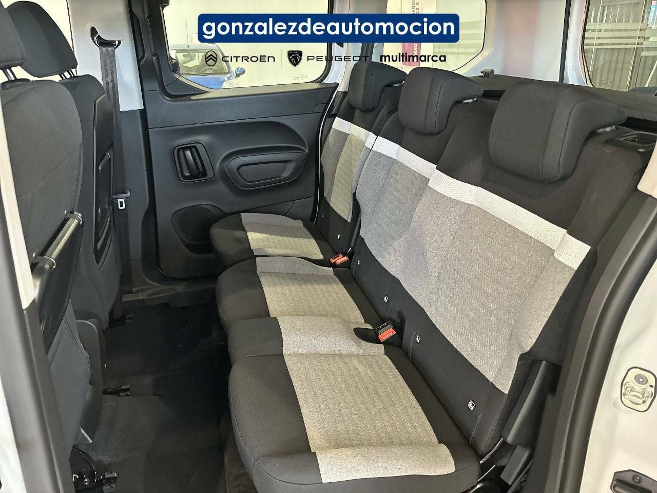 Citroën Berlingo  Talla M BlueHDi 100 S&S Plus 19