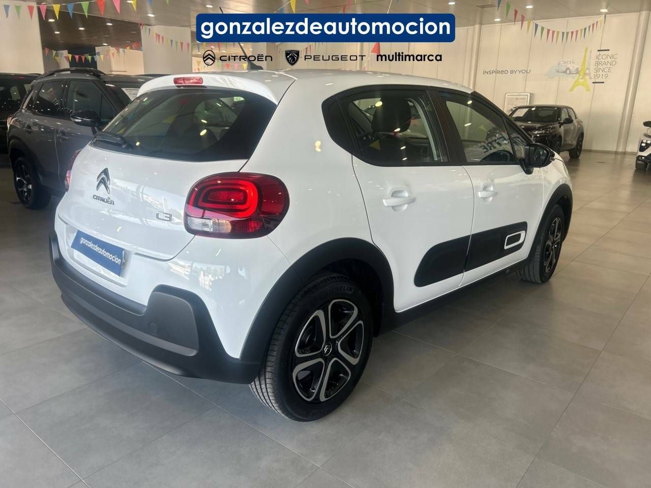 Citroën C3 C3 PLUS BlueHDi 100cv 24