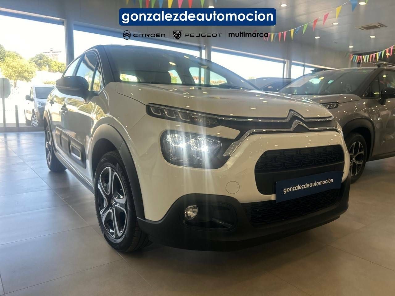 Citroën C3 C3 PLUS BlueHDi 100cv 26