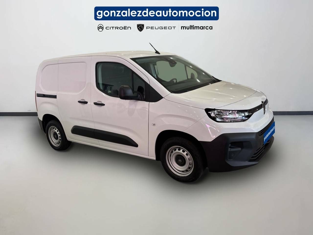 Citroën Berlingo Berlingo VAN Talla M BlueHDi 100 - 5