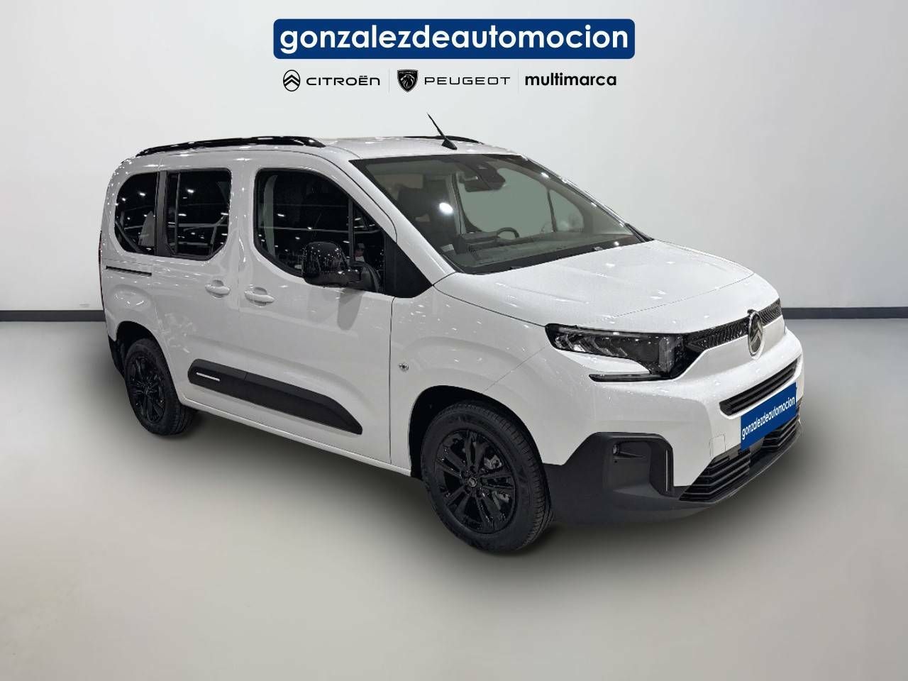 Citroën Berlingo  Talla M BlueHDi 100 S&S Plus 5