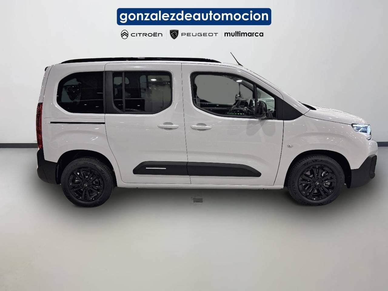 Citroën Berlingo  Talla M BlueHDi 100 S&S Plus 7