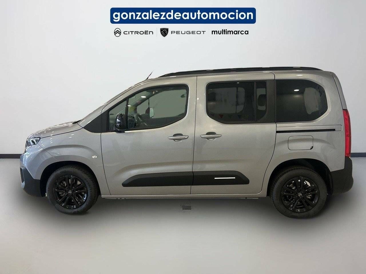 Citroën Berlingo  Talla M BlueHDi 100 S&S Plus 24