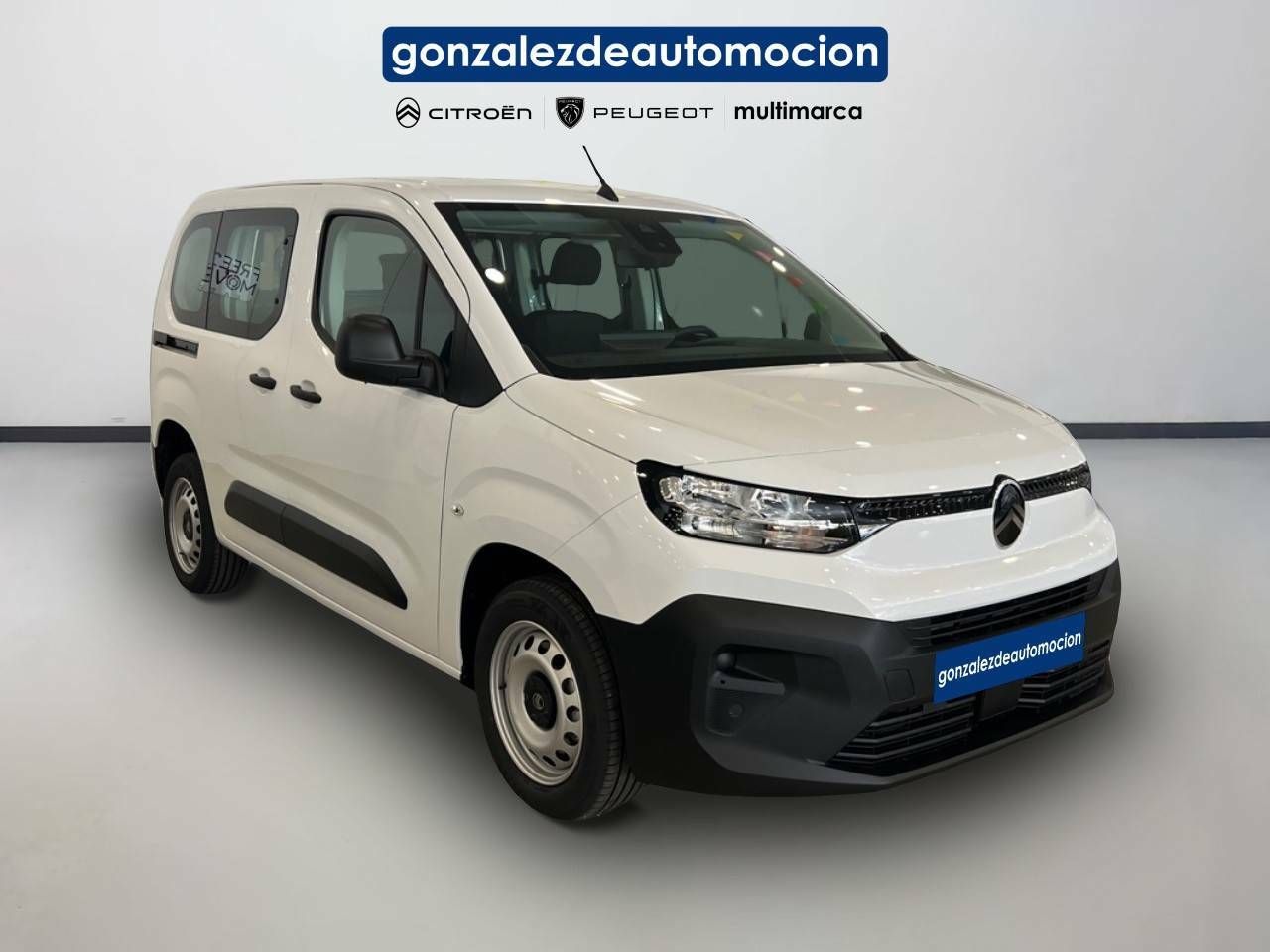 Citroën Berlingo  Talla M BlueHDi 100 S&S You 5