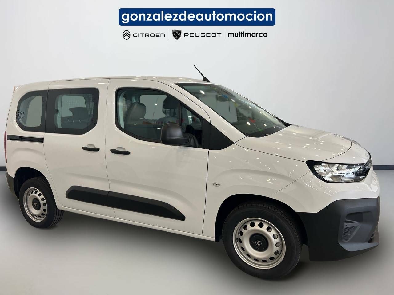 Citroën Berlingo  Talla M BlueHDi 100 S&S You 7