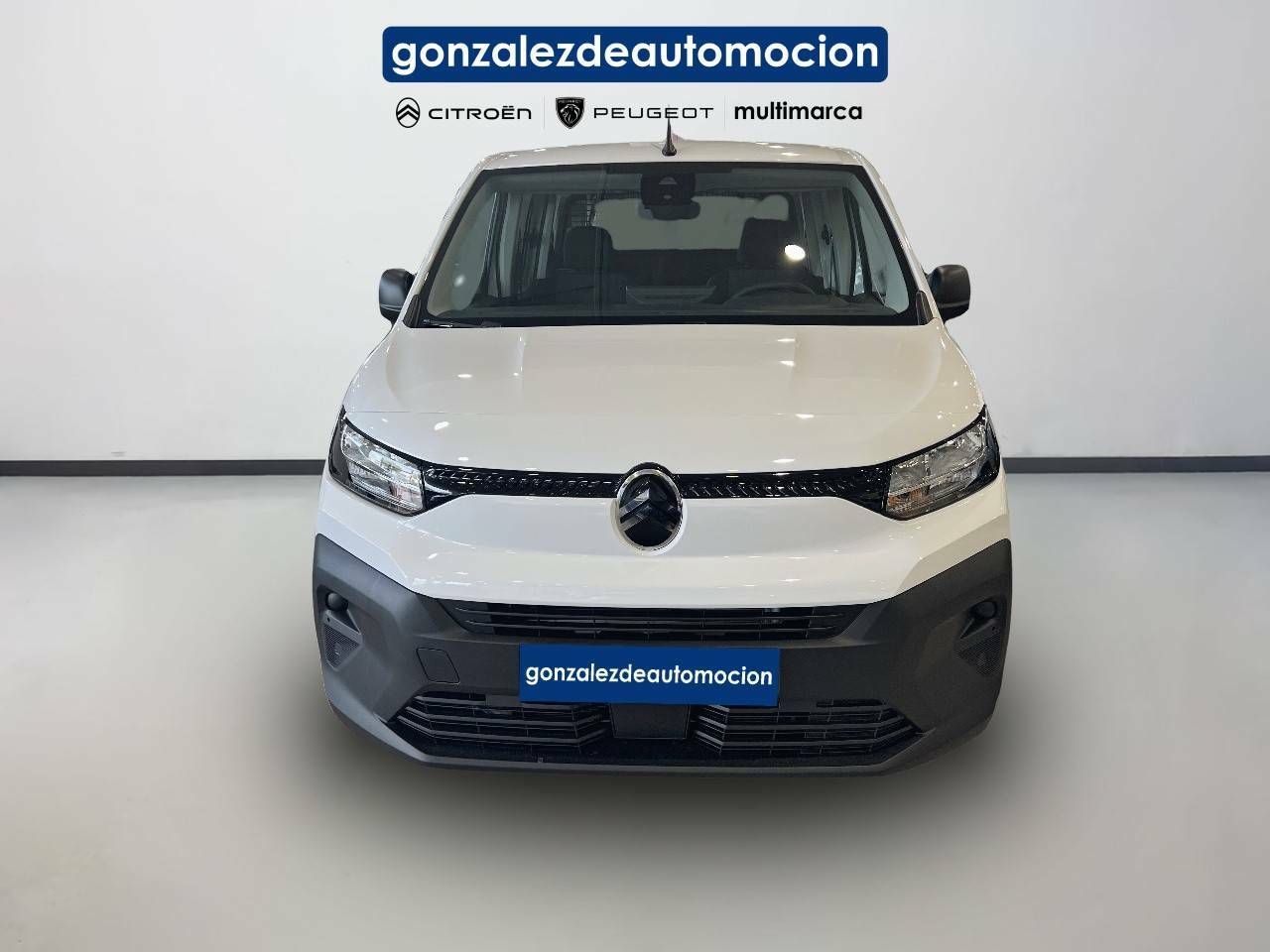 Citroën Berlingo  Talla M BlueHDi 100 S&S You 3