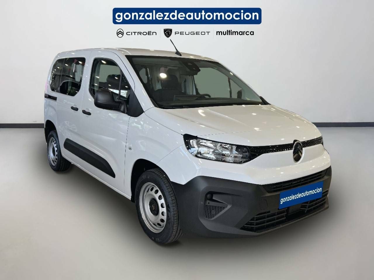 Citroën Berlingo  Talla M BlueHDi 100 S&S You 5