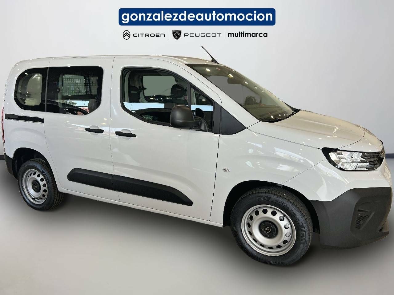 Citroën Berlingo  Talla M BlueHDi 100 S&S You 7