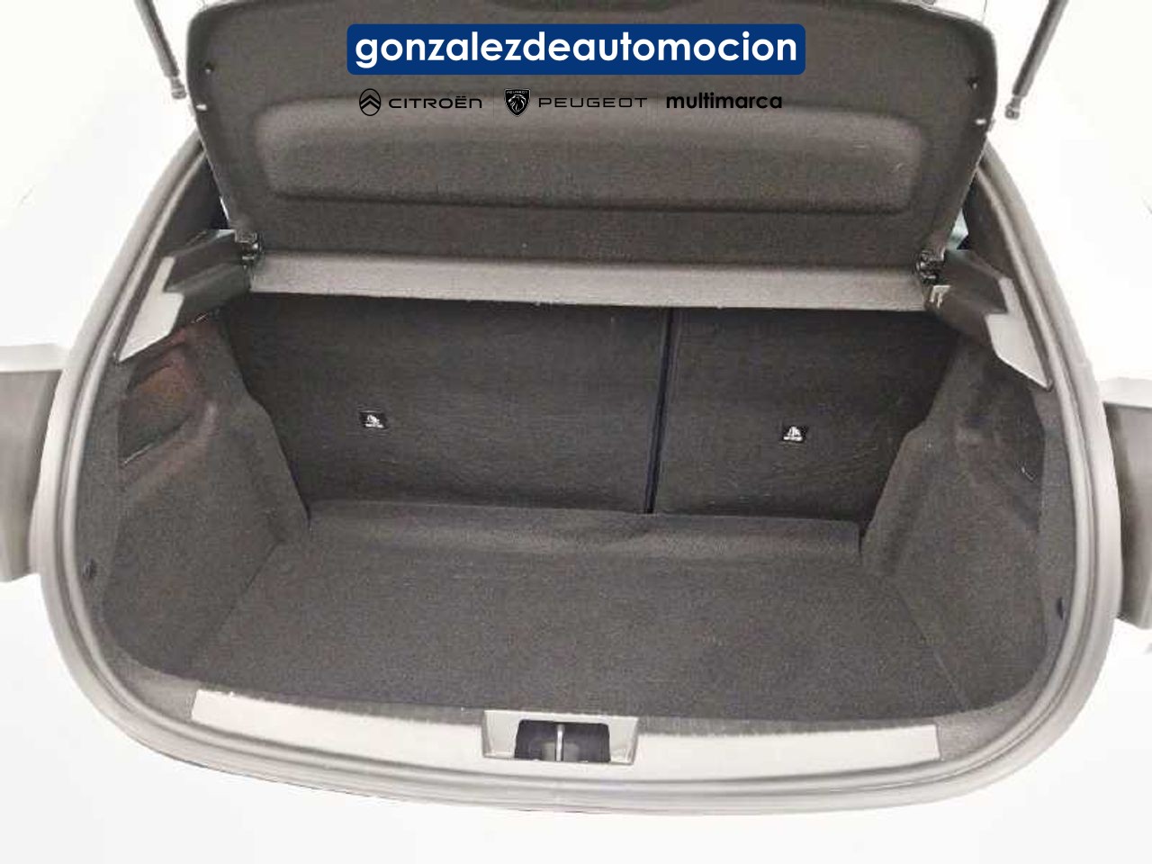 8_3ff15daa-3e04-42cb-9ced-1284847657cc.jpg