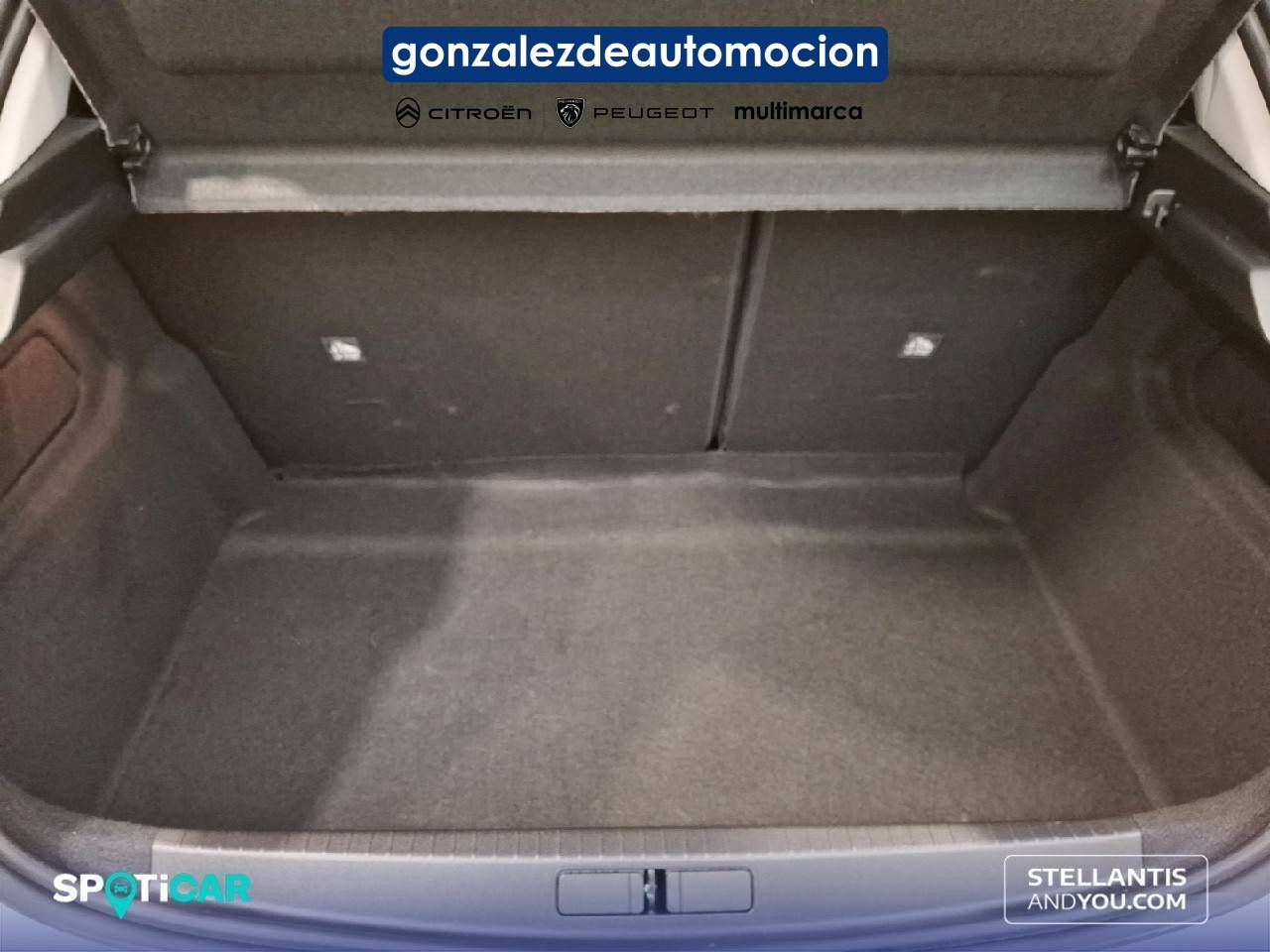 18_dd83e393-d026-4f91-82fc-646ad5497d12.jpg