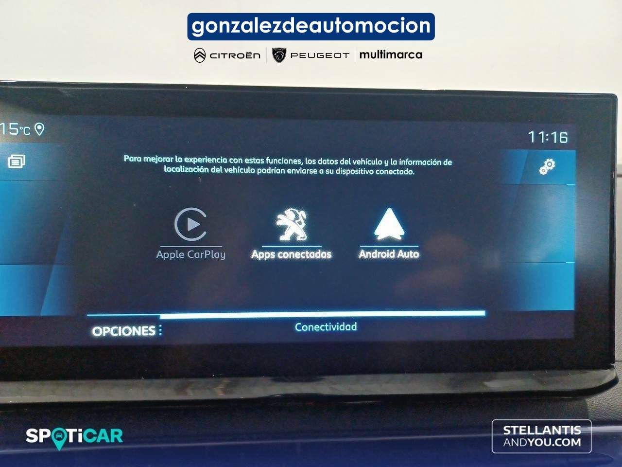3_163e092a-3b7d-4aba-8456-9ac84bdda135.jpg