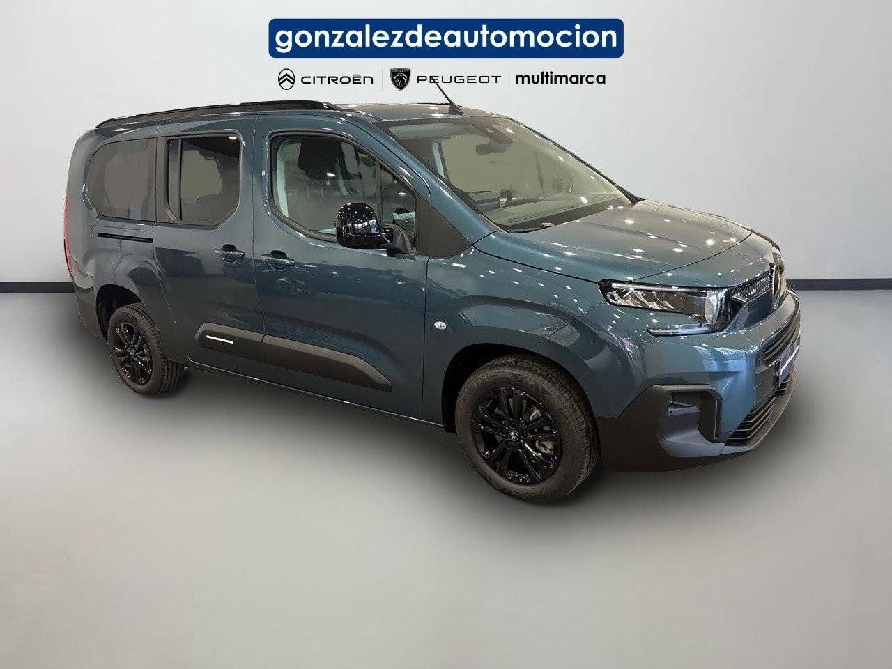 Citroën Berlingo  Talla M BlueHDi 100 S&S Plus 5