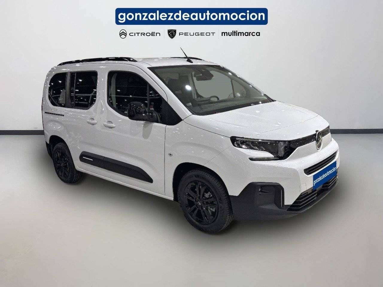 Citroën Berlingo  Talla M BlueHDi 130 S&S  Auto Max 5