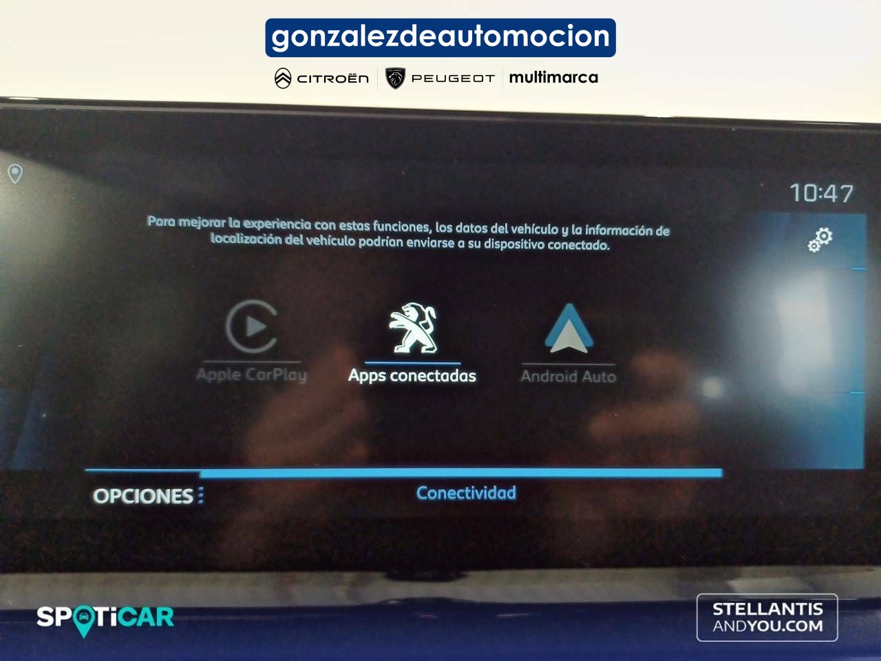 9_77cbea66-d16a-46e5-a735-3860a9cabb3d.jpg