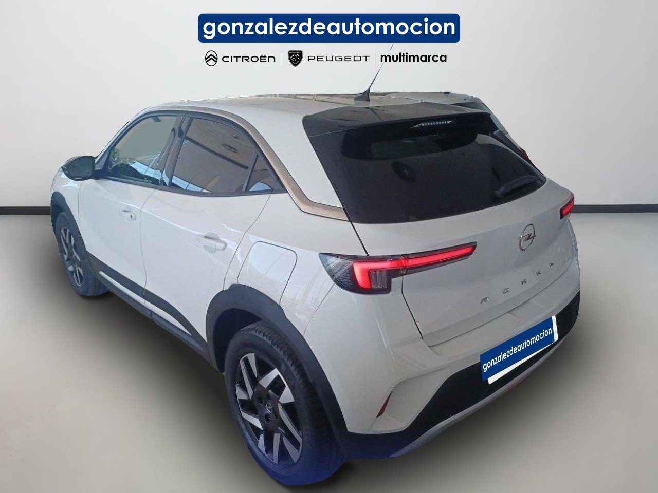 18_aafc5de2-3d16-45a8-9b7a-160629433cad.jpg
