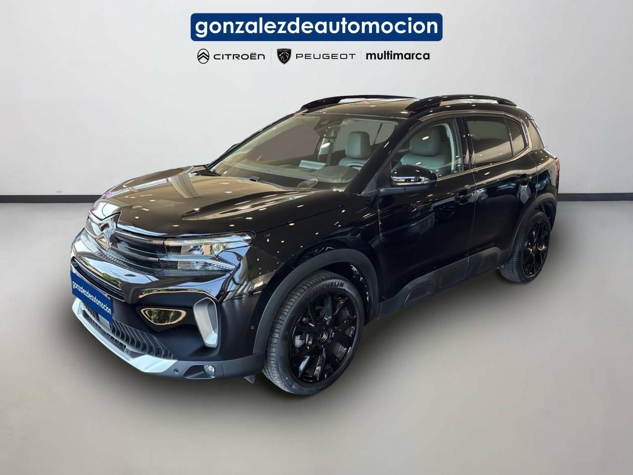 Citroën C5 Aircross  BlueHdi 96kW (130CV) S&S EAT8 Shine Pack 1