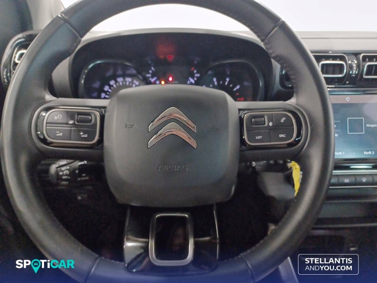 Citroën C3 Aircross  PureTech 81kW (110CV) S&S C-Series 22