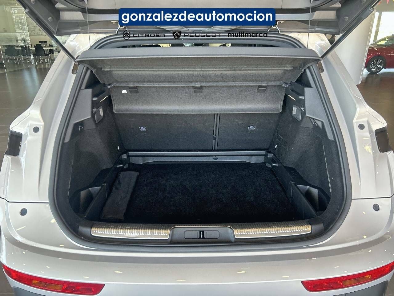 DS Automobiles DS 7  BlueHDi 130 Automático RIVOLI 11