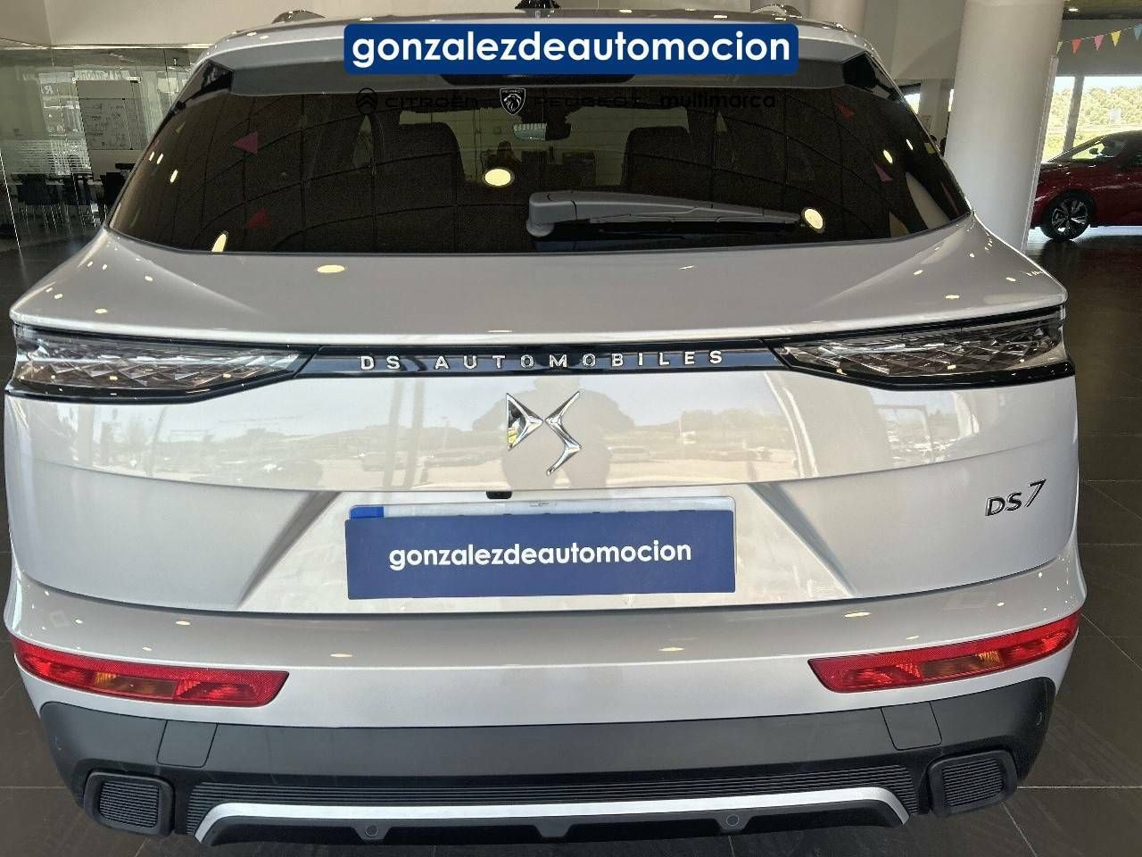 DS Automobiles DS 7  BlueHDi 130 Automático RIVOLI 22