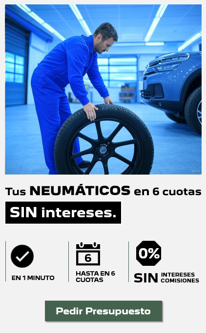 Captura de pantalla 2025-06-13 175610