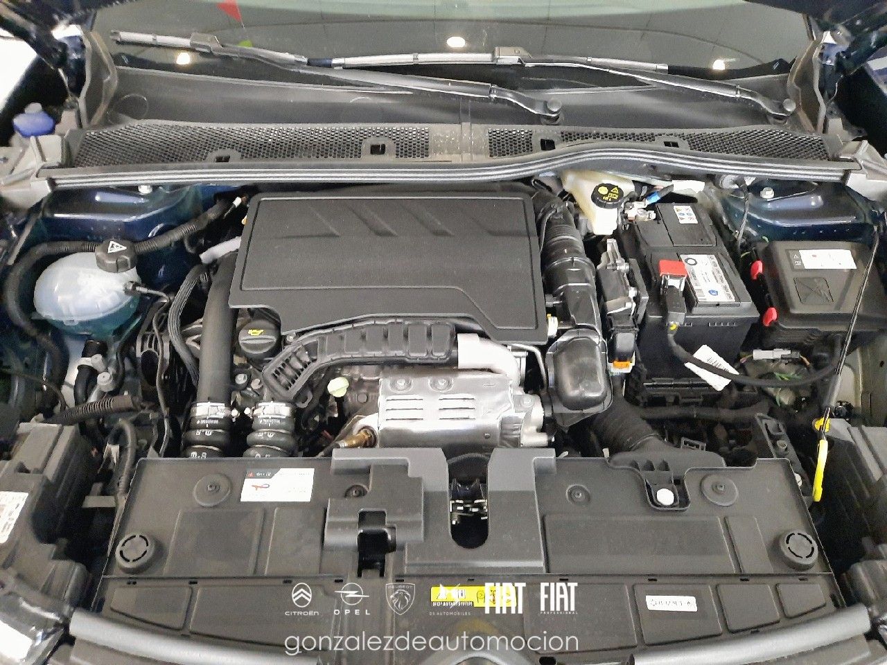 Citroën C4 PLUS PureTech 130 20