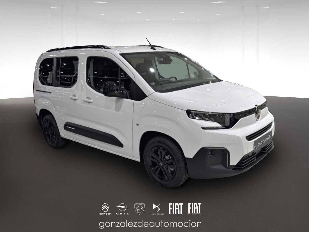 Citroën Berlingo PLUS Talla M BlueHDi 100 5