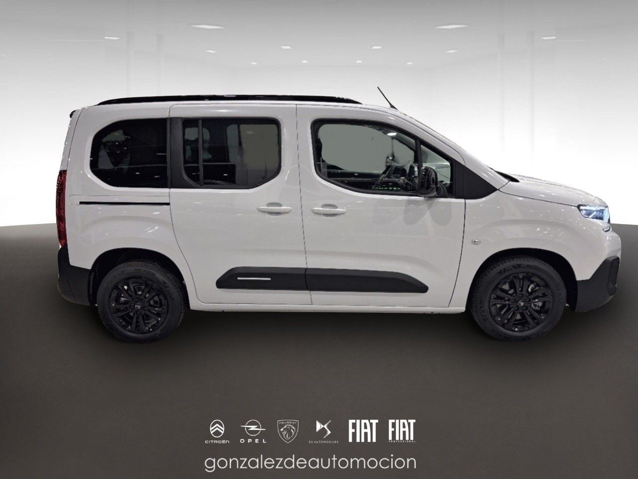 Citroën Berlingo PLUS Talla M BlueHDi 100 7