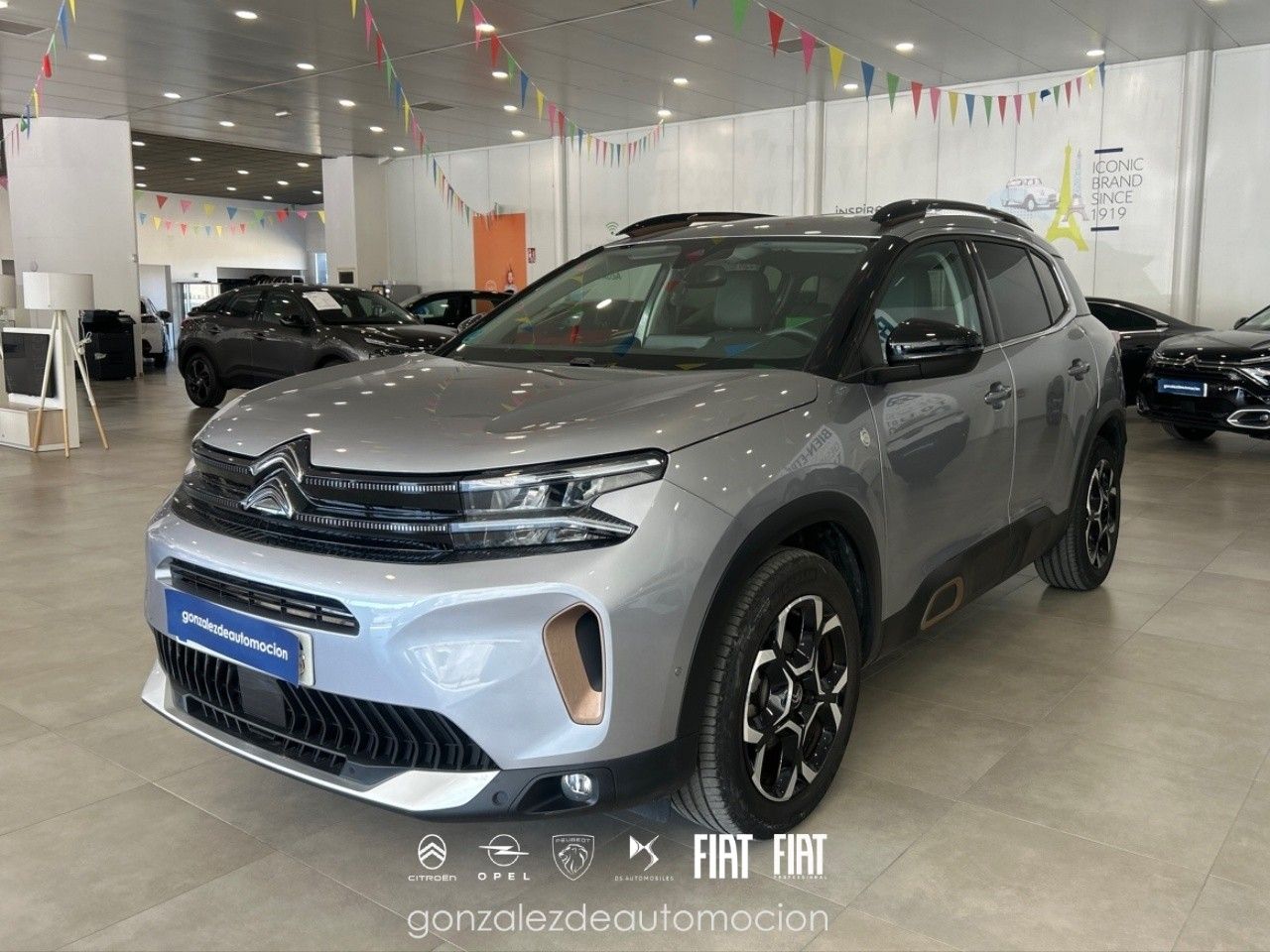 Citroën C5 Aircross BlueHdi 96kW (130CV) S&S C Series 26