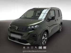 Gonzalez de Automoción -- - copia 11 0 310ce449 588c 428e b1ff 7156b27a5f4b