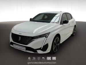 Gonzalez de Automoción -- - copia 21 0 3c3352b0 8970 4151 bb96 0fbc1c31a725