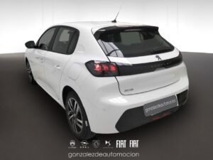 Gonzalez de Automoción -- - copia 32 1 640393ce 071a 49d2 b6c8 2b5cab762669