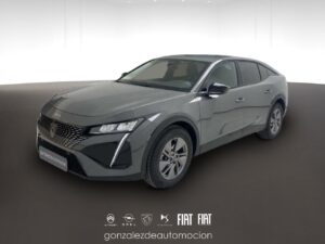 Gonzalez de Automoción -- - copia 41 0 b2adaab2 a9cf 4b53 8c75 bd7fa9db52b1