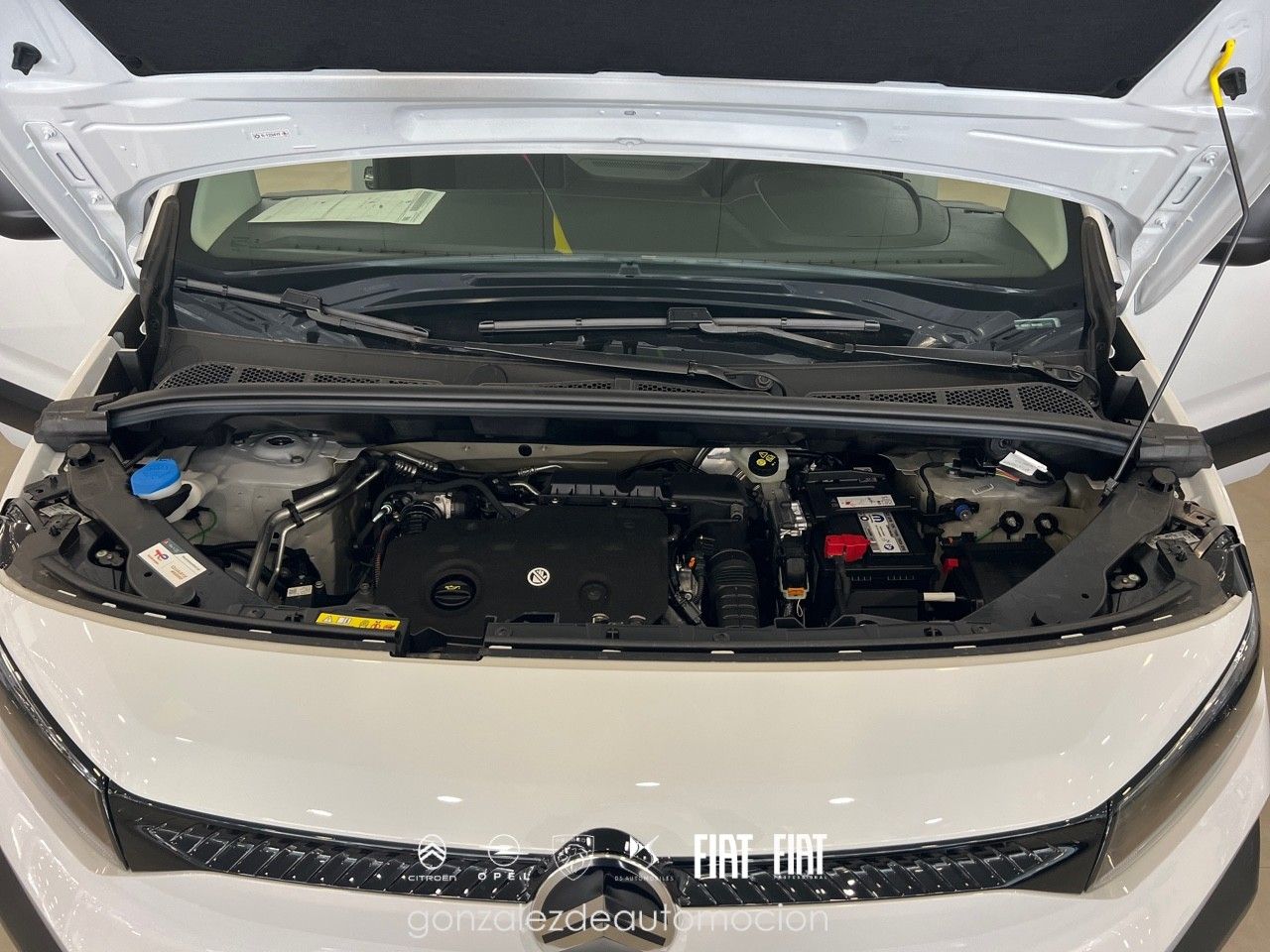 Citroën Berlingo YOU Talla M BlueHDi 100 N1 20