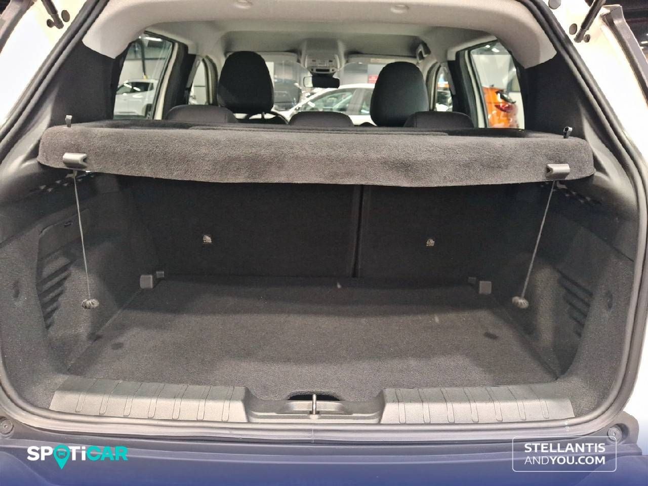 Jeep Avenger  1.2 G 74kW (100CV) Altitude 11