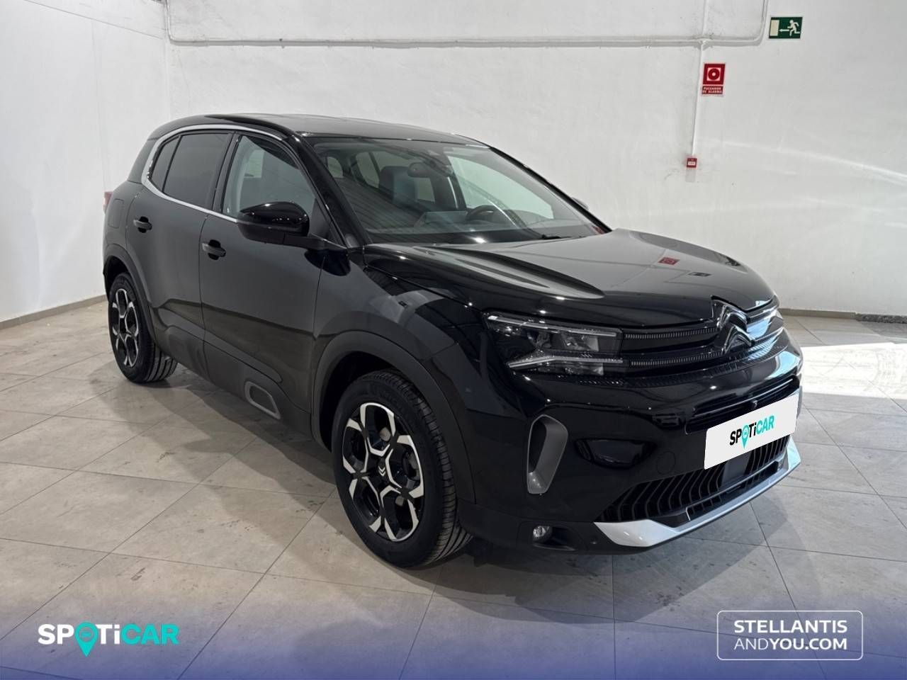 Citroën C5 Aircross BlueHdi 96kW (130CV) S&S EAT8 Max 5