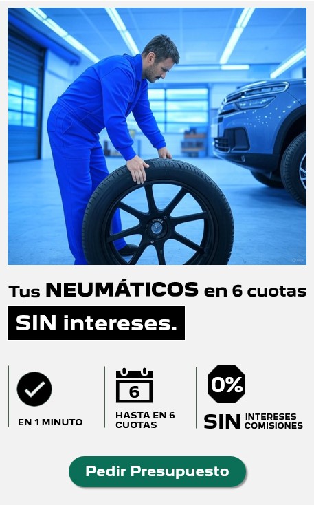 Captura de pantalla 2026-01-20 165808