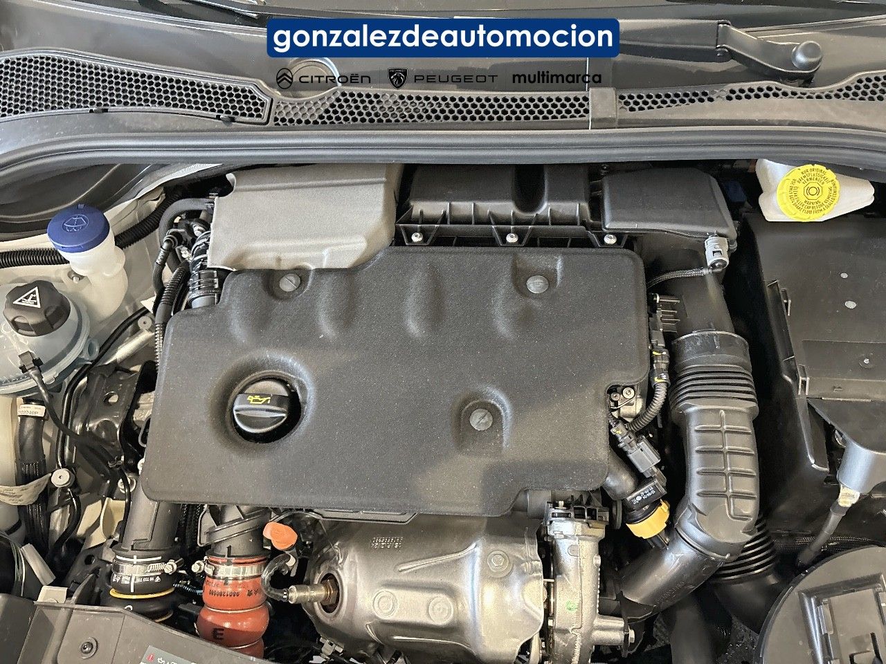 40543ad341c7ad9b85737cf1254c2d0f