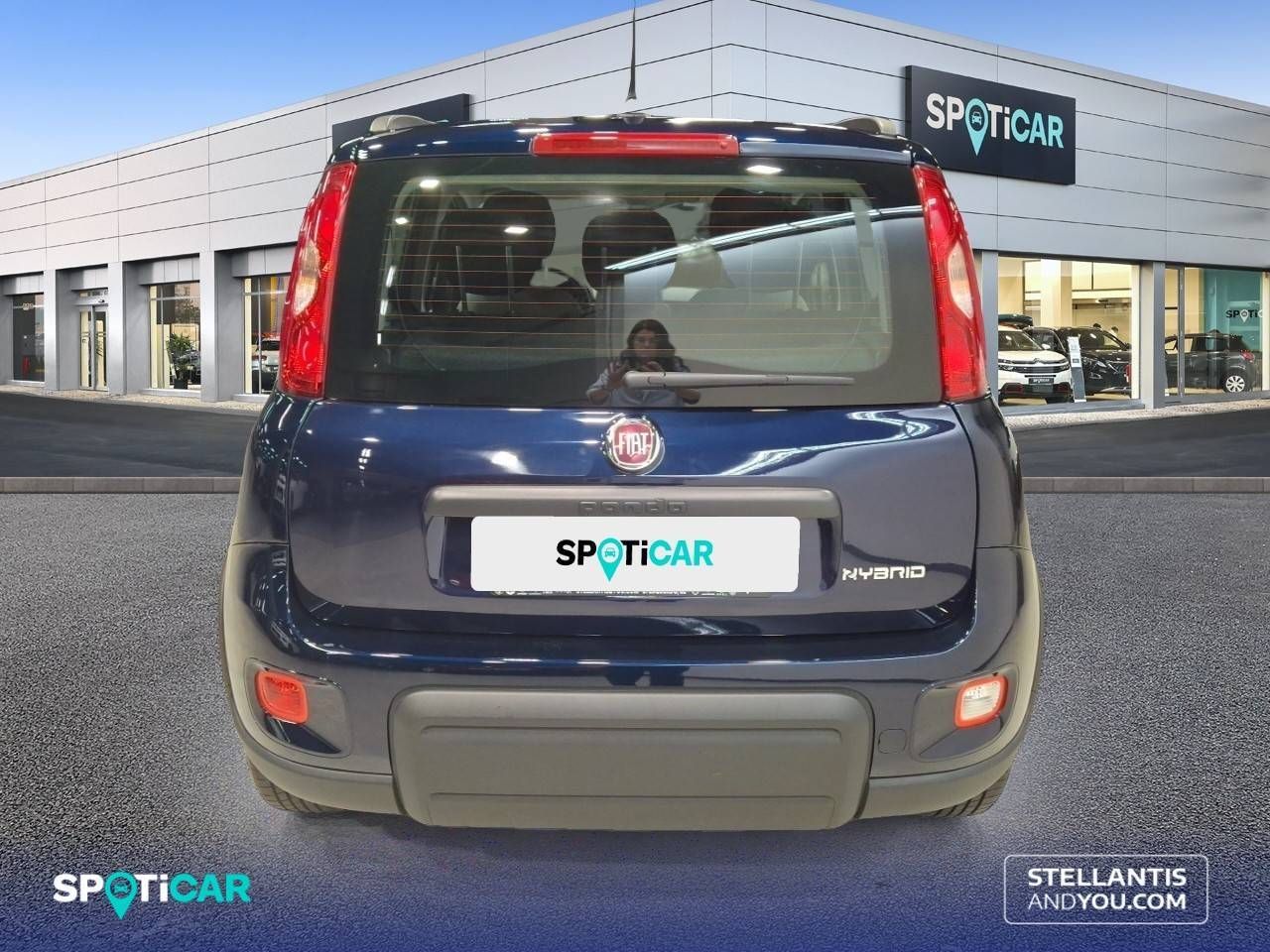 Fiat Panda Hybrid 1.0 Gse 51kw (70CV) City Life 13