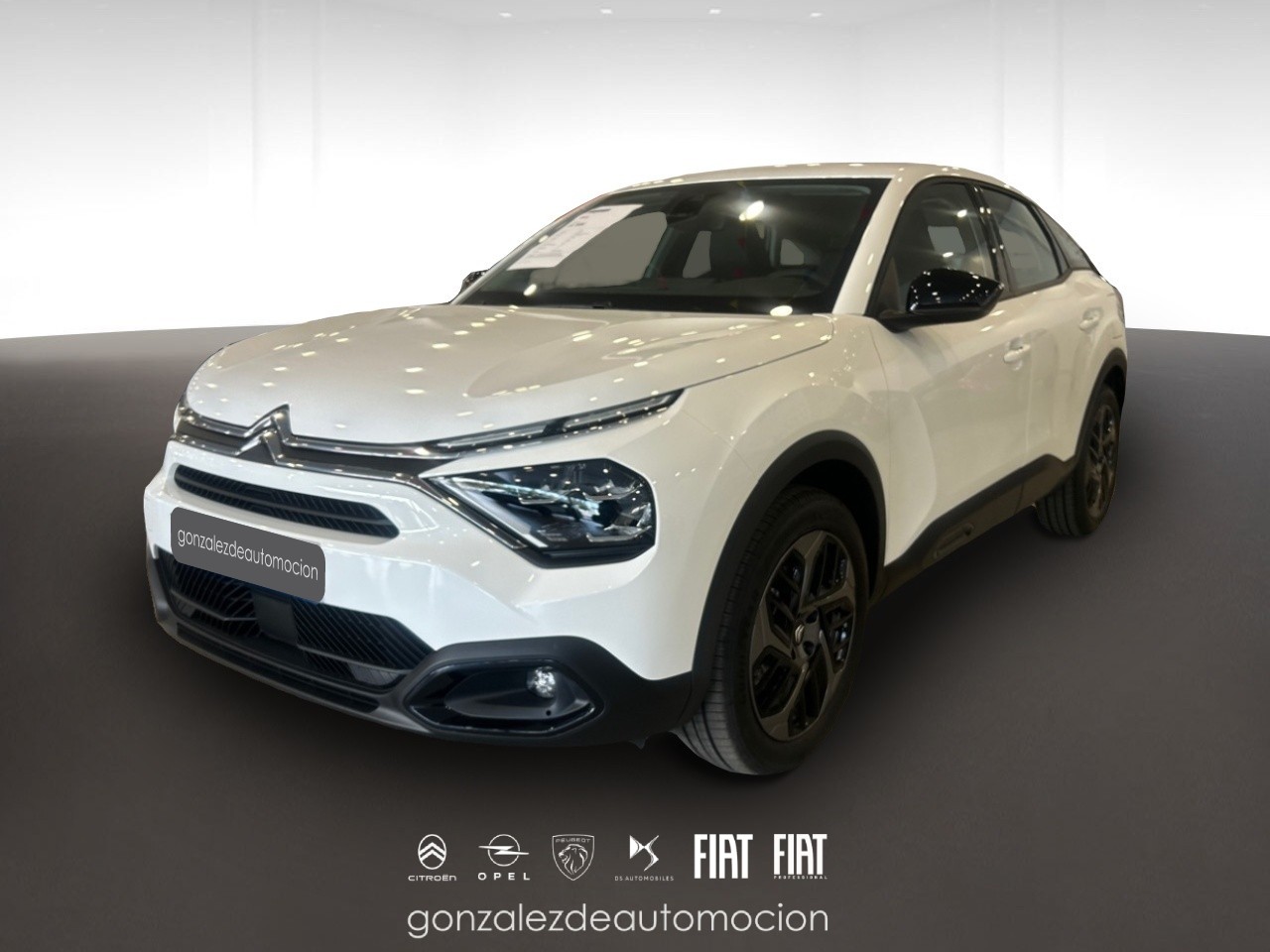 12_65a8910f-1d81-4c4c-bf1b-7de57fba5a59