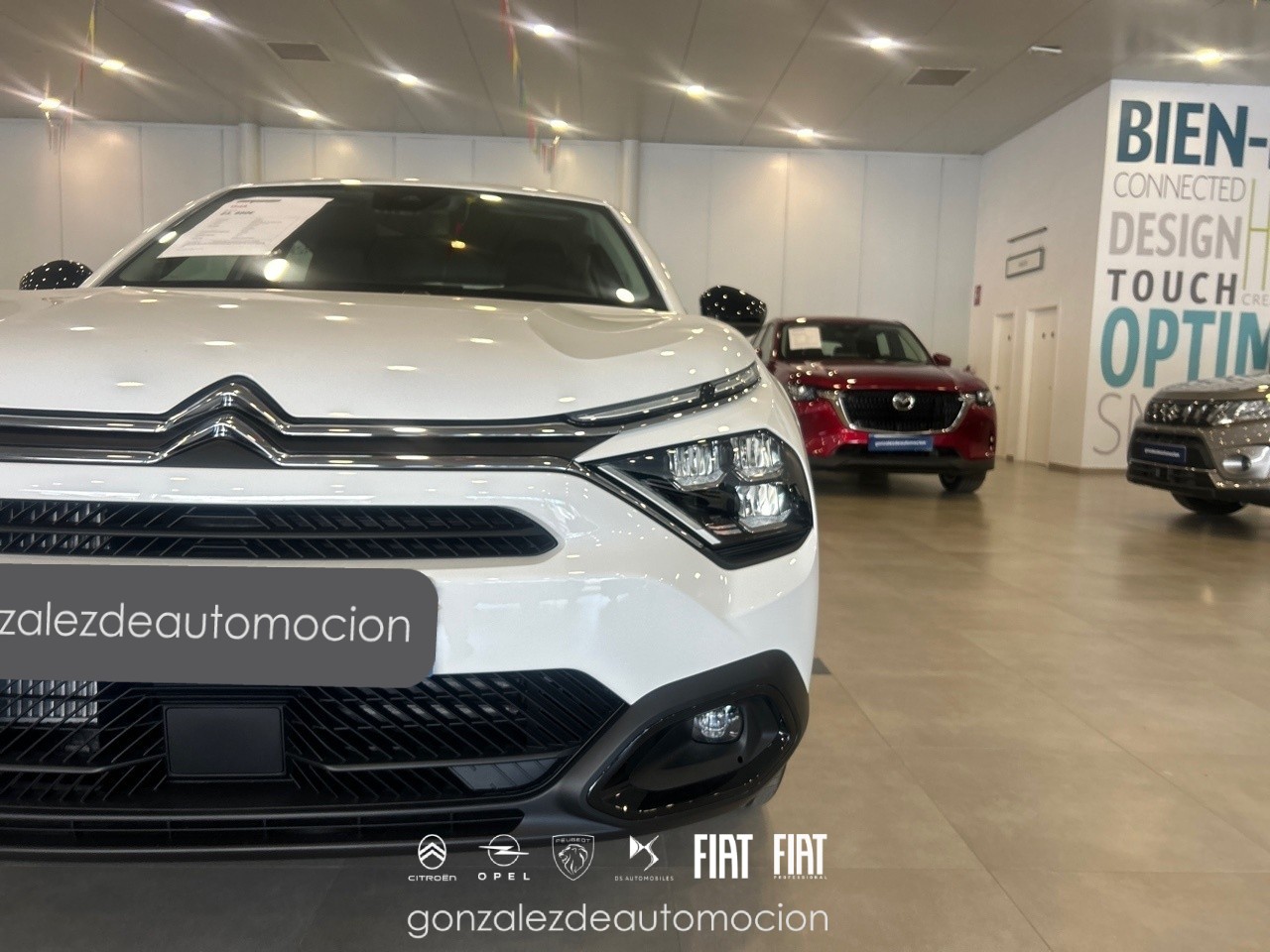 13_f2f01646-b812-486a-9d5a-f181d8564eb0