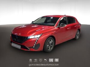 Gonzalez de Automoción -- - copia 27 0 37158ff4 2c11 47c0 8cb7 c9e0283a1017