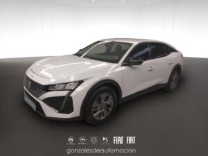Gonzalez de Automoción -- - copia 29 0 b77275bc 6dd5 4502 b450 9fb625847561