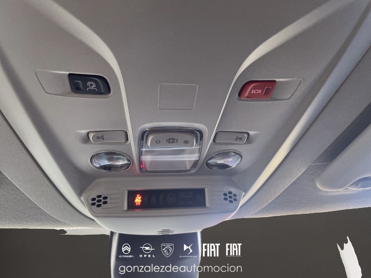11_febe408f-e871-4dbd-ae96-71fe1bb53d79.jpg